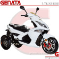 Zero Emission Electric Trike Motorcycle (GM690E) with Three Wheels